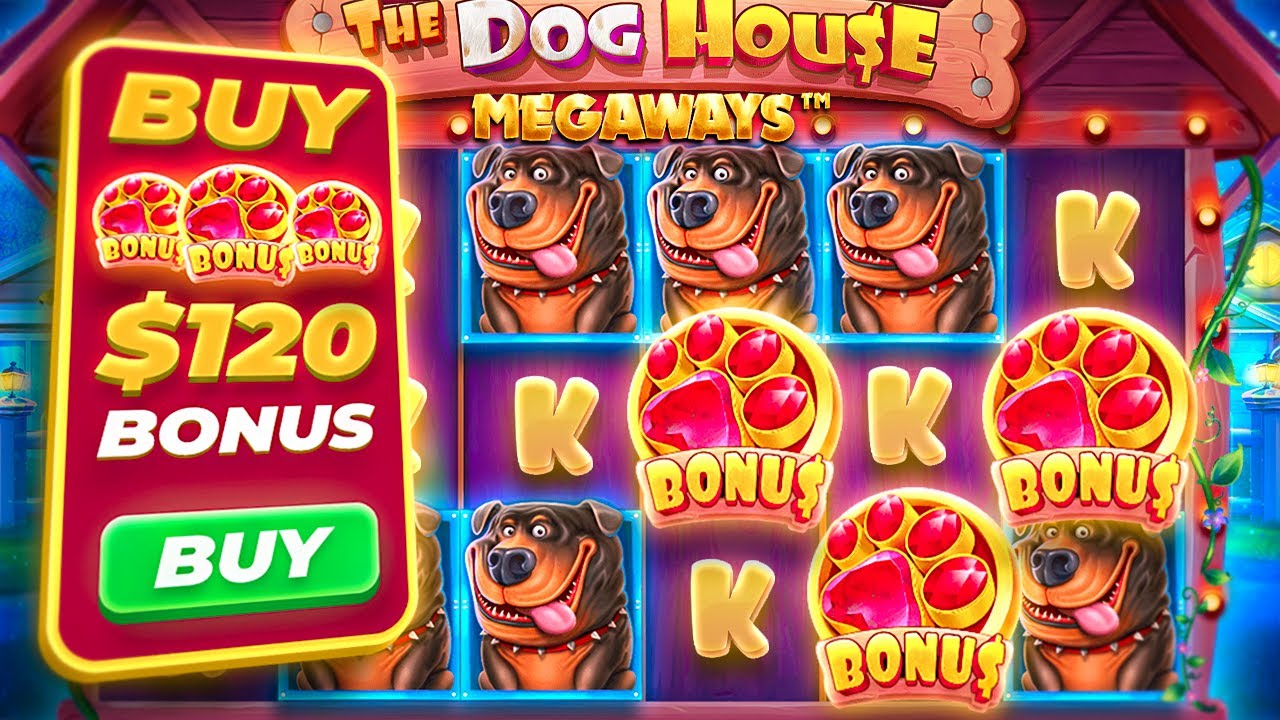 DOG HOUSE MEGAWAYS… THESE SETUPS HAD HUGE POTENTIAL!? (Bonus Buys ...